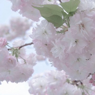 兽设潮流风格设计Furry群